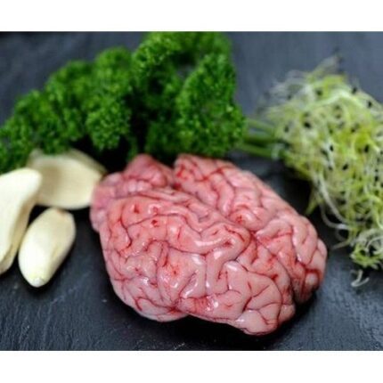 A mutton brain rests on a black surface, adorned with fresh parsley, garlic cloves, and alfalfa sprouts. The brain showcases pinkish hues and veins contrasting against the vibrant green and white garnishes. Smart Chicken